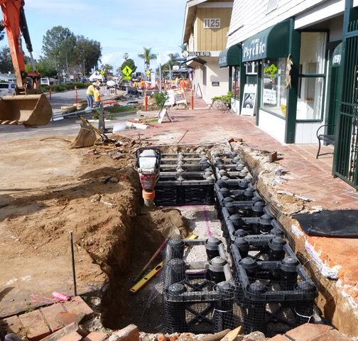 1100 block Silva Cell