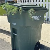 Xmas tree in recycling cart
