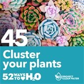 Project Clean Water graphic.