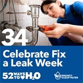 Project Clean Water graphic.