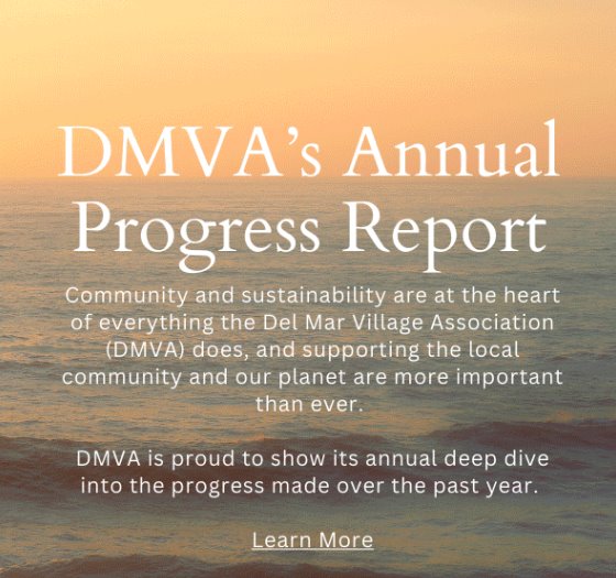DMVA promo