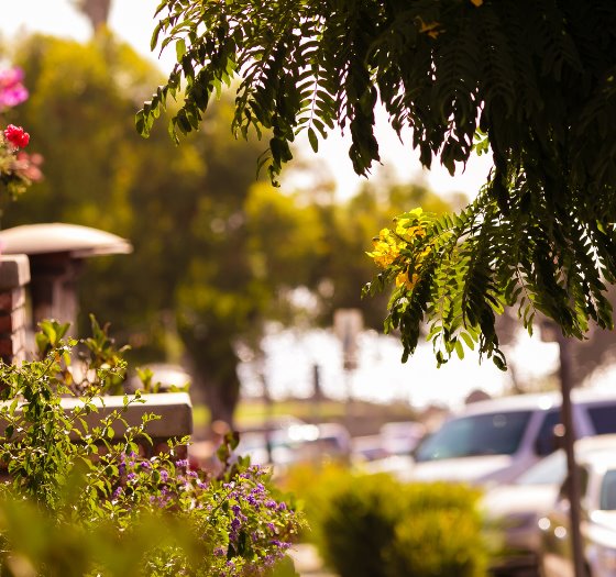 officials display award