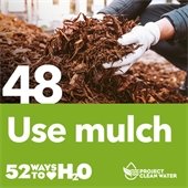 Project Clean Water graphic.