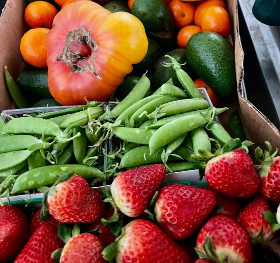 farmers market fruit