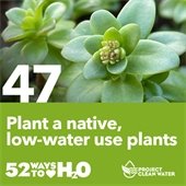 Project Clean Water graphic.