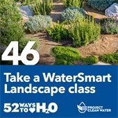 Project Clean Water graphic.