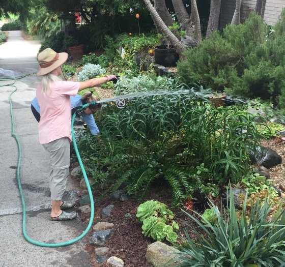 Garden club at post office