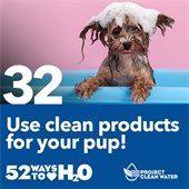 Project Clean Water graphic.