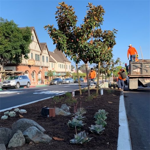 median landscaping