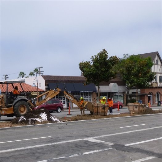 tree planting 1400 block median