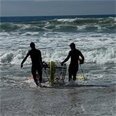 lifeguards removing lobster trap
