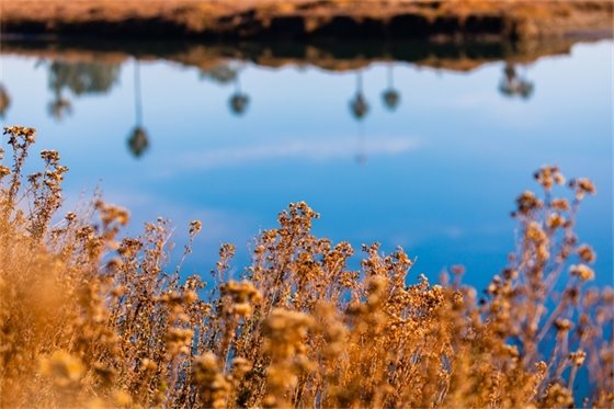 San Dieguito Lagoon