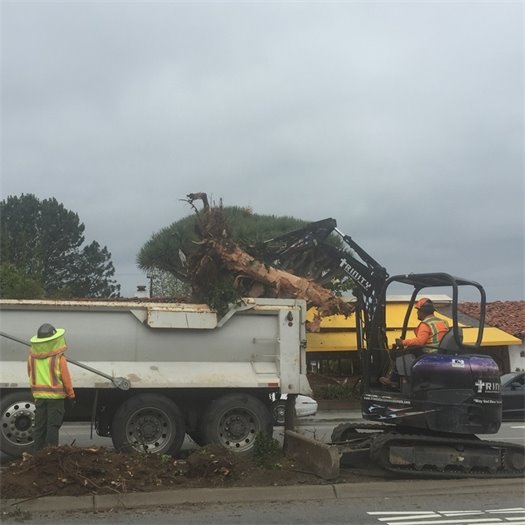 Fresh sidewalk on west 1200 block