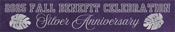 silver anniversary header