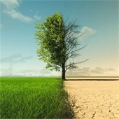 climate symposium graphic