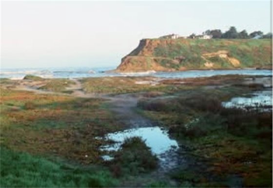 North Beach circa 1975.