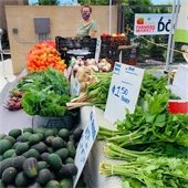 Del Mar Farmers Market