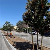 irrigation installation